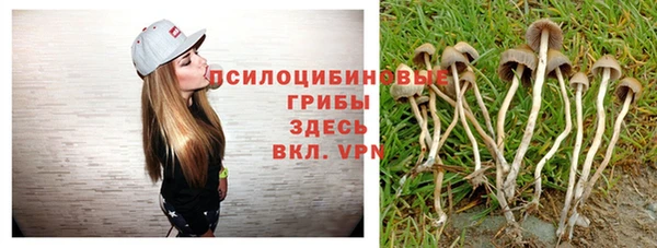 крисы Лиски