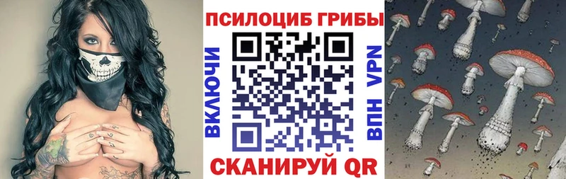 дарнет шоп  Чебаркуль  Псилоцибиновые грибы Magic Shrooms 