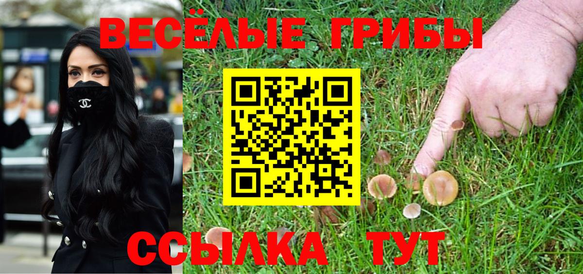 Чебаркуль  Галлюциногенные грибы GOLDEN TEACHER  закладки  Вход с VPN 